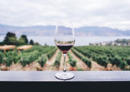 A glass of red wine sits on a railing overlooking a scenic vineyard, with mountains and a lake in the background.