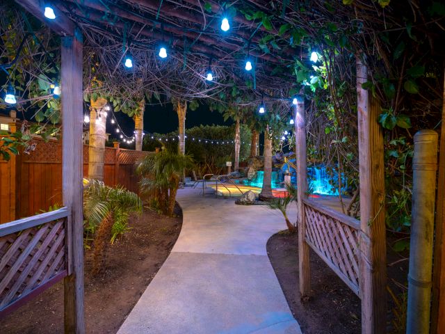 a pathway with lights and plants