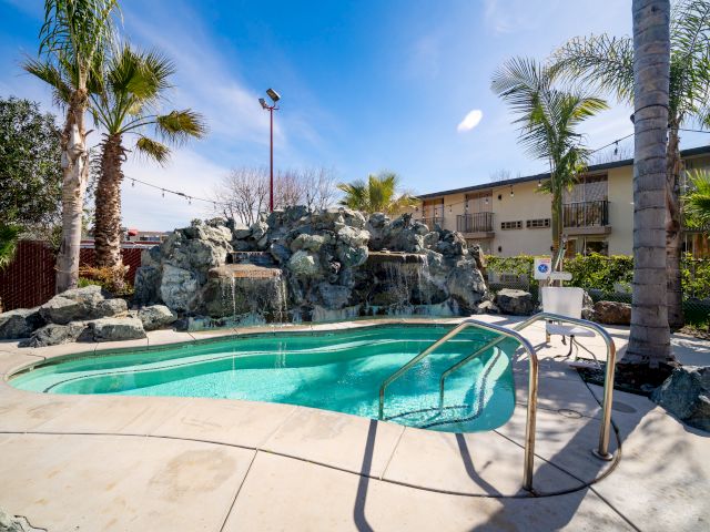 A swimming pool with a waterfall and palm trees
