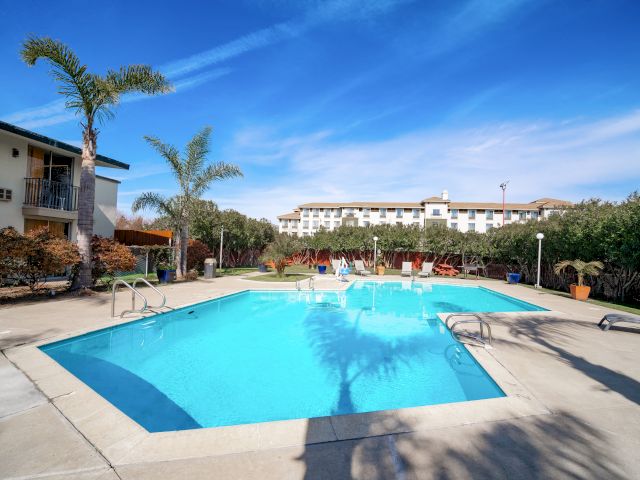 A swimming pool with palm trees and a building in the background.